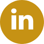 TDSIEC_LinkedIn_Logo
